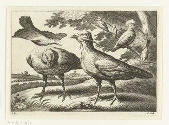 Avutardas y una cacatúa; Diversarum avium species (título de la serie); Aves diversas (título de la serie)