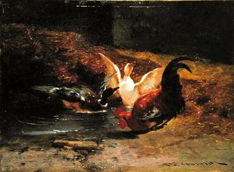 Gallo con dos patos