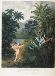Cupido inspirando plantas con amor.
