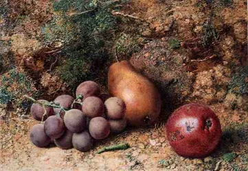 Uvas, manzana y pera en un banco musgoso (acuarela y gouache sobre papel)