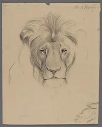 Cabeza de un león