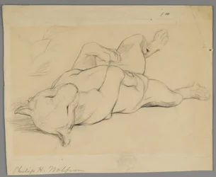 Leona durmiendo