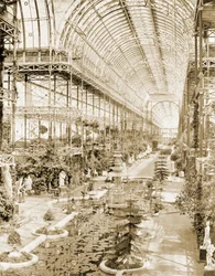 El interior de la nave tomada desde la galería sobre el biombo de la reina en el extremo sur c.1859 (foto b/n)