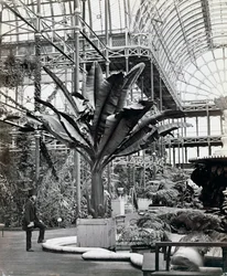 Plantas tropicales en la Sala Egipcia, Crystal Palace, Sydenham, Londres, 1854