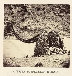 Puente colgante Twig