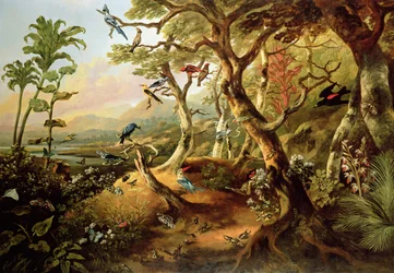 Aves exóticas e insectos entre árboles y follaje en un paisaje montañoso con río