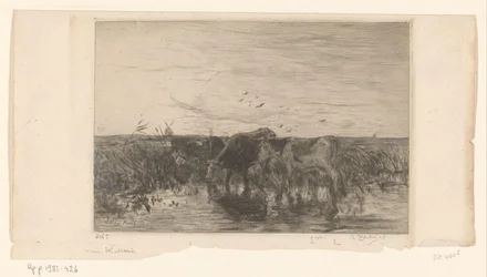Vacas cerca del agua en un prado
Vaches au bord de l