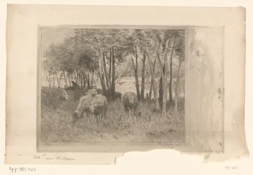 Rebaño de ovejas y pastor en un prado con árboles
Moutons (título original)