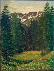 Paisaje forestal