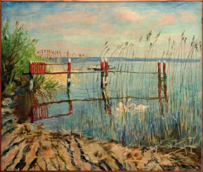 Embarcadero de baño en el Jungfernsee