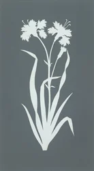 Clavel