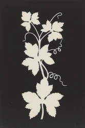 Parra