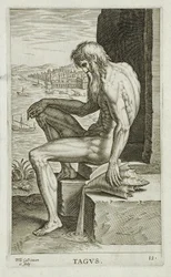 Tajo