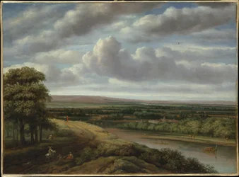 Extenso paisaje boscoso