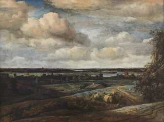 Paisaje panorámico holandés con una vista distante de Haarlem