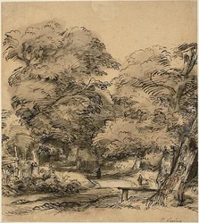 Un camino en el bosque