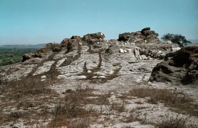 Civilización de los fenicios: sitio del tofet de la ciudad púnica de Sulcis en la actual isla de Sant