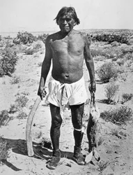 Cazador Hopi