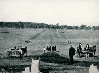 Aprendiendo a sembrar con sembradora y a pasar el rodillo en el Dookie Agricultural College, Victoria, hacia 1900, de «Bajo la Cruz del Sur - Vislumbres de Australia», publicado por el Department of External Affairs, Melbourne