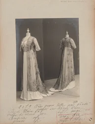 Página del Álbum: Casa de Worth, Vestido de Té