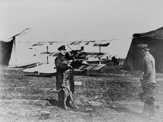 El Barón Rojo y su perro