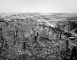 Defensas de alambre de púas alemanas en la posición de Beaurevoir, parte de la Línea Hindenburg