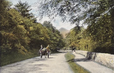 Irlanda: The Glen of the Downs, Sugar Loaf Mountain, County Wicklow (foto a color)