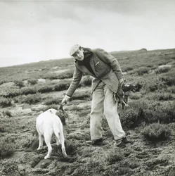 11.º duque de Devonshire en una cacería de urogallos en Bolton Abbey