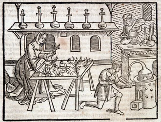 Medicina a través de las plantas y sus virtudes - en “Des profits champêtres et ruraux” por Pierre de Crescent, París