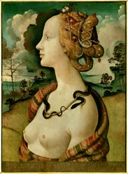 Retrato de una mujer llamada Simonetta Vespucci