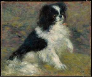 Tama, el perro japonés