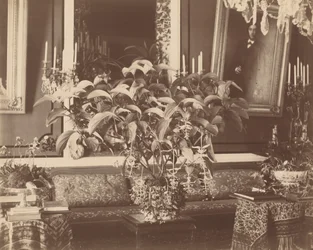 Interior, años 1860 (foto)