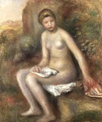 Bañista en una roca