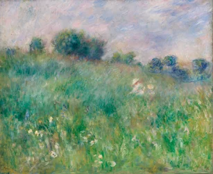Prado (La pradera)