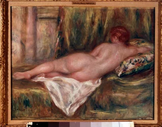 Desnudo acostado visto desde atrás o descanso después del baño