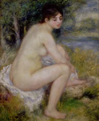Desnudo en un paisaje