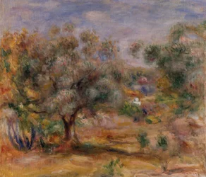 Olivo en Les Collettes, c.1910-15 (óleo sobre lienzo)