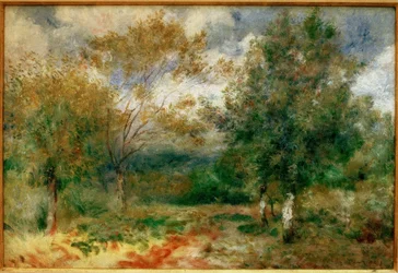 Paisaje soleado
