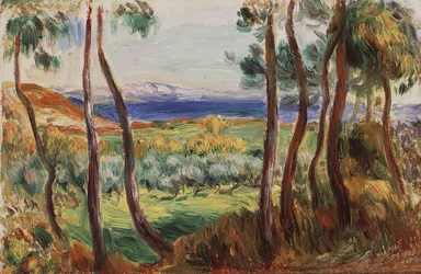 Pinos en los alrededores de Cagnes, c. 1910