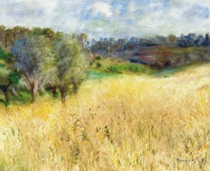 Campo de trigo, 1879