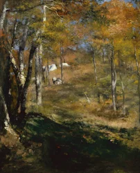 Árboles jóvenes en el bosque