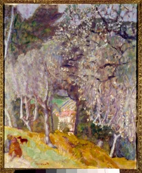 Casa en los olivos