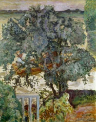 El árbol cerca del río