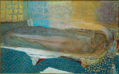 Desnudo en el baño