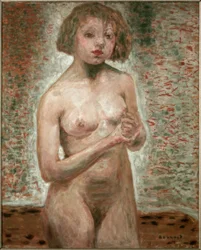 Desnudo