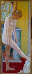 Desnudo