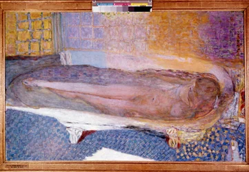 Desnudo en el baño