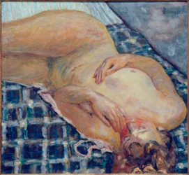 Desnudo acostado, fondo de cuadros blancos y azules