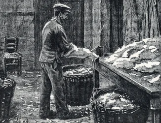 Cuero: hendidura de pieles de conejo para fabricar cuero Grabado de "Excursion a travers les metiers" de Pierre Calmette Colección particular