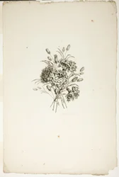 Ramo con claveles, de la Colección de Diferentes Ramos de Flores, inventado y dibujado por Jean Pillement y grabado por P. C. Canot